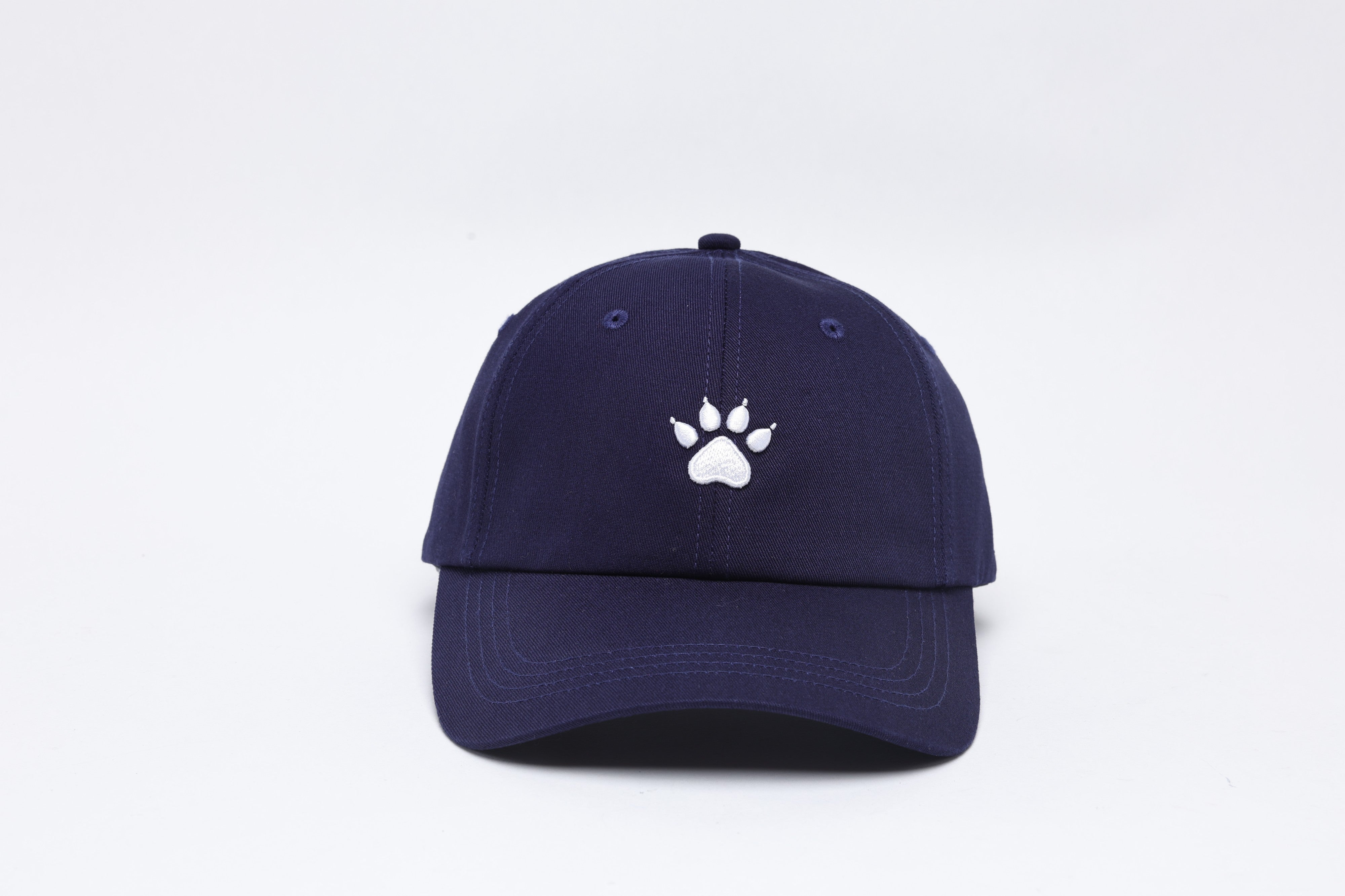 Cap - Blue
