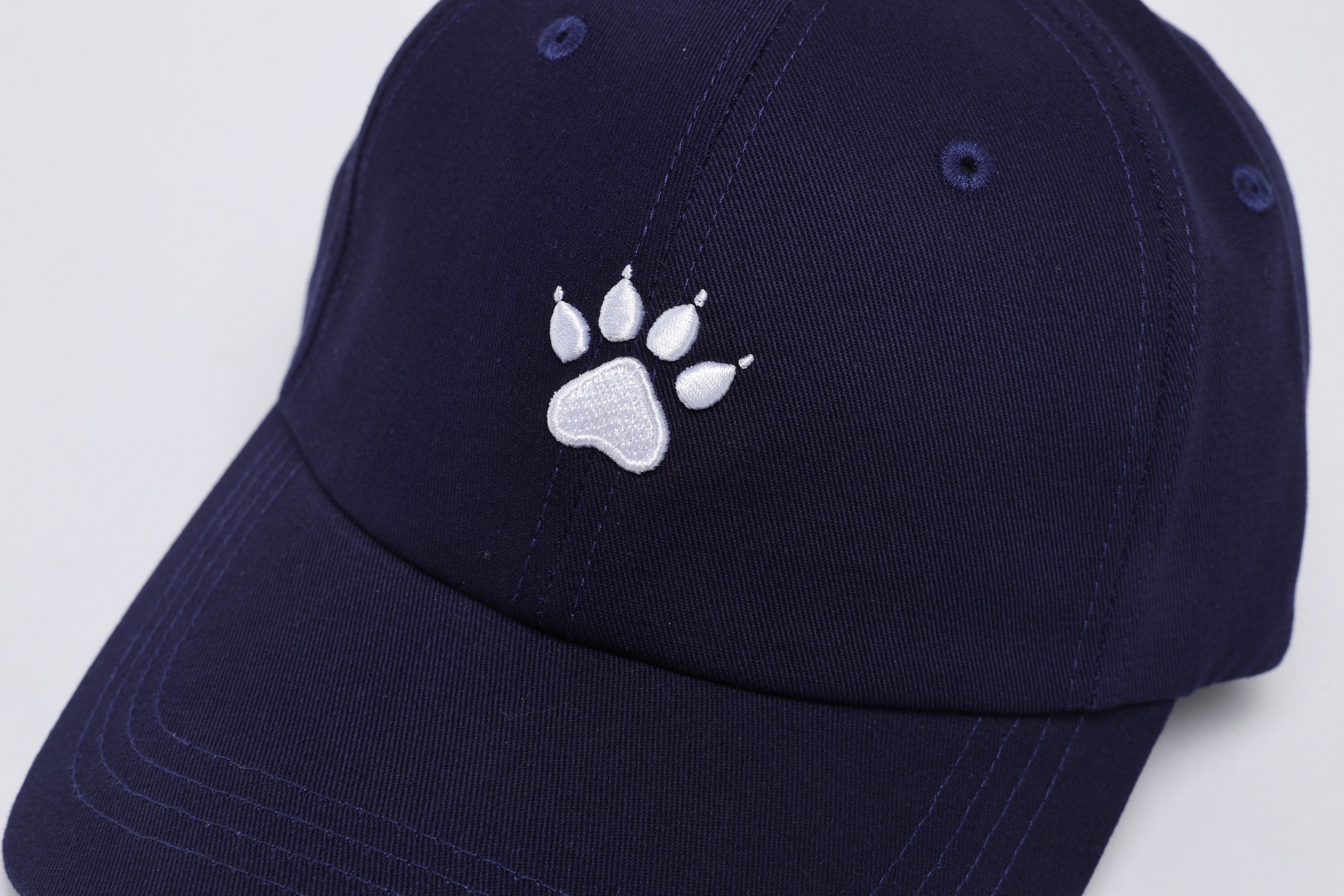 Cap - Blue